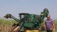 Máquinas agrícolas usadas viram alternativa para produtores rurais