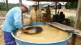 Funai vai à Justiça contra mineração de ouro em Belo Monte