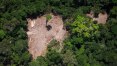 Desmatamento explode em julho e chega a 2.254 km², um terço dos últimos 12 meses