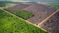 Deputados querem abrir reservas florestais do Mato Grosso para mineração
