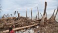 Desastres mataram 10 mil pessoas e custaram U$158 bilhões em 2016, diz seguradora suíça