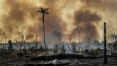 Dez dias na Amazônia: retratos de uma floresta em chamas