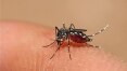 Prefeitura de SP confirma segunda morte por dengue na capital