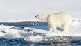 Camada de gelo do Ártico deve atingir a segunda taxa mais baixa da história