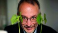 Stefano Mancuso investiga mundo vegetal