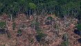 Desmatamento da Amazônia tem alta de 9,5% em um ano e atinge o maior valor desde 2008