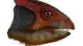 Cientistas descobrem na China dinossauro com crânio ornamental