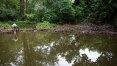Paulistano ajuda a criar lagos em aldeia indígena no Jaraguá