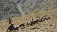 Milícia e resistência se enfrentam em única província não tomada no Afeganistão