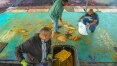 Corpus Christi: Cidades turísticas retomam a tradição dos tapetes coloridos