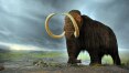Últimos mamutes foram extintos por falta de água