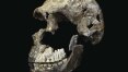 Hominídeo da África do Sul é muito mais novo do que se pensava