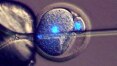 Pesquisa abre caminho para embrião sem óvulo