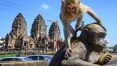 Macacos na Tailândia tomam conta de cidade-santuário em meio à pandemia