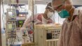 Ministério da Saúde quer estoque com 9 milhões de medicamentos do 'kit intubação'