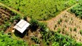 Brasil pode se tornar uma potência se aliar desenvolvimento econômico com proteção ambiental
