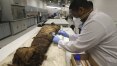 Pesquisadores descobrem técnicas de embalsamamento em múmias pré-históricas