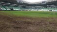 Palmeiras não sabe se jogará no Allianz Parque