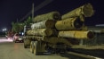 Governo Bolsonaro flexibilizou exigências para exportação de madeira brasileira