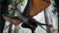Dinossauro voador tinha asas semelhantes às de morcegos