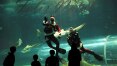 No Rio, Papai Noel faz sucesso dando comida para tubarões em aquário