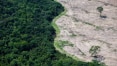 Veja o que muda com o decreto que extingue a reserva na Amazônia