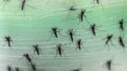 Chikungunya avança 34% e já são 17.131 infecções no Brasil