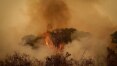 Pantanal em chamas: saiba como ajudar no combate a incêndios