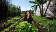 Agricultores orgânicos de Parelheiros: eles vivem de cultivar a terra na cidade de São Paulo