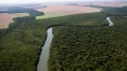 Desmatamento na Amazônia atinge 13.235 km², maior área dos últimos 15 anos