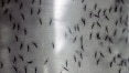 Santos decreta epidemia de dengue