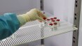 Vacina de Oxford consegue neutralizar variante brasileira do coronavírus, aponta estudo
