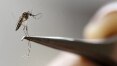 Governo do Rio é condenado a indenizar família de criança que morreu de dengue