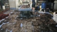 Baleia morre após engolir 80 bolsas de plástico na Tailândia