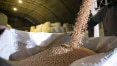 Com supersafra, Brasil se consolida como maior produtor mundial de soja