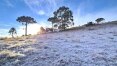 Expectativa de neve e de recorde de frio lota hotéis na serra de Santa Catarina