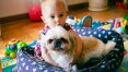 Cachorro para criança: veja por que essa parceria é recomendada