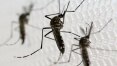 Infectados por chikungunya poderão ficar 'encostados' no INSS, diz ministro