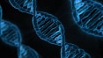 A relação entre genes e doenças