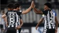 Botafogo supera Avaí, deixa zona da degola e empurra o Fluminense