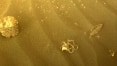 Nasa investiga objeto estranho achado em Marte; entenda