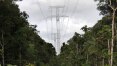 'Linhão de Tucuruí', que corta reserva indígena na Amazônia, tem sinal verde do Ibama