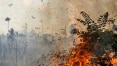 Ibama e ICMBio acumulam mais de R$ 25 milhões de dívidas; combates a incêndios são interrompidos