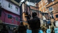 'Licença para matar': por dentro do ano em que o Rio bateu o recorde de mortes por policiais