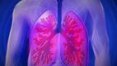 Câncer de pulmão: veja fatores de risco e sinais de alerta
