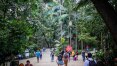 Palmeiras exóticas serão retiradas do Parque Trianon, em São Paulo