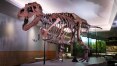 Tiranossauro Rex pode ter sido três espécies diferentes, sugere pesquisa