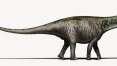 Estudo prova que Brontossauro é um gênero à parte
