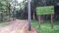 Caraguatatuba pede fechamento de parque da Serra do Mar por suspeita de febre amarela