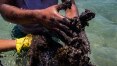 Navio identificado pela Ufal não foi responsável por óleo na costa brasileira, diz Marinha